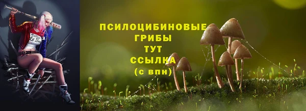 бошки Алзамай