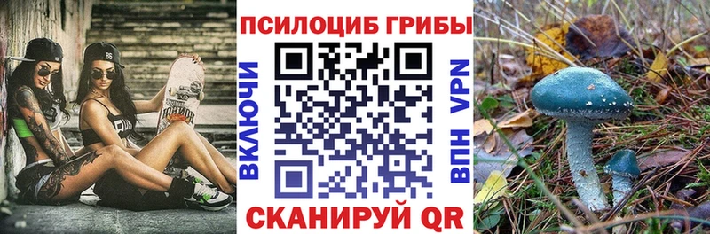 магазин продажи наркотиков  darknet наркотические препараты  Галлюциногенные грибы мицелий  Мегион 